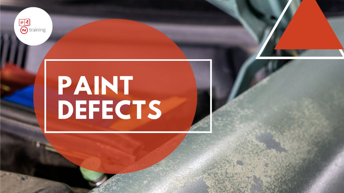 Course Paint defects NTraining